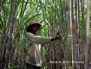 BPD Salurkan KKPE Rp 170,43 Miliar