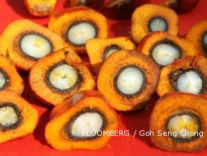 Boikot Sawit Akibat Minyak Nabati Lain Kalah Saing?