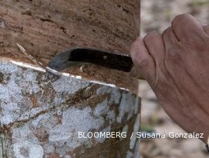 Dewan Karet Indonesia Setuju Crumb Rubber Masuk DNI