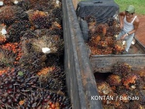 Soal CPO, Indonesia dan Malaysia kompak