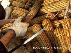Impor jagung 2010 naik 275% dibanding tahun lalu
