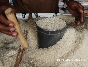 Kementerian BUMN rancang program mendukung swasembada pangan