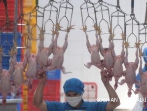 Rumah potong ayam siap memacu produksi