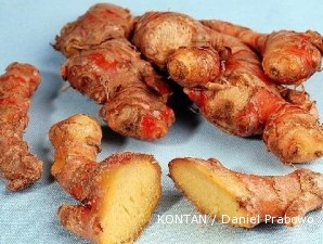 Jahe merah terus menghangat, labanya terus mengalir (1)