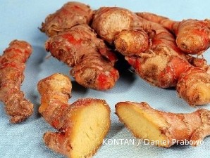 Jahe merah: Hujan melimpah, hasil panen menyusut (2)