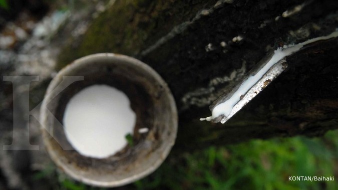 Genjot produksi, PTPN III remajakan tanaman karet