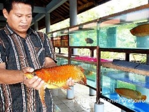 Kementerian Kehutanan janji permudah prosedur perdagangan arwana