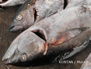 Permintaan tinggi, harga tuna terbang