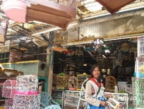 Sentra burung Kelapa Gading: Pasar burung yang utamakan kebersihan (1)