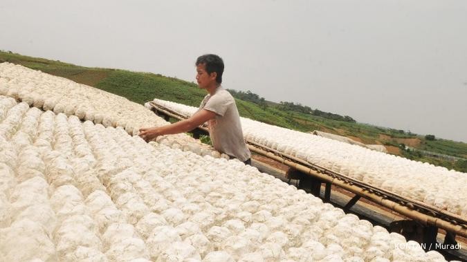 Mendag: Mari makan singkong dan ubi