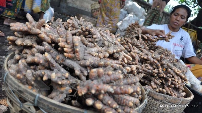 Kunyit tak sepenuhnya aman sebagai obat herbal Kunyit tak sepenuhnya aman sebagai obat herbal