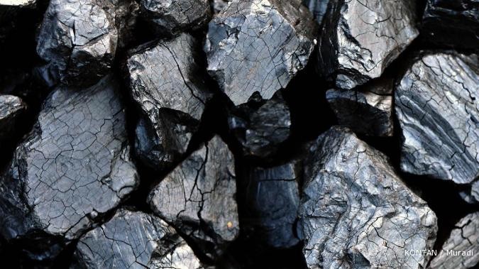 Kongsi BYAN dan White Energy terancam bubar