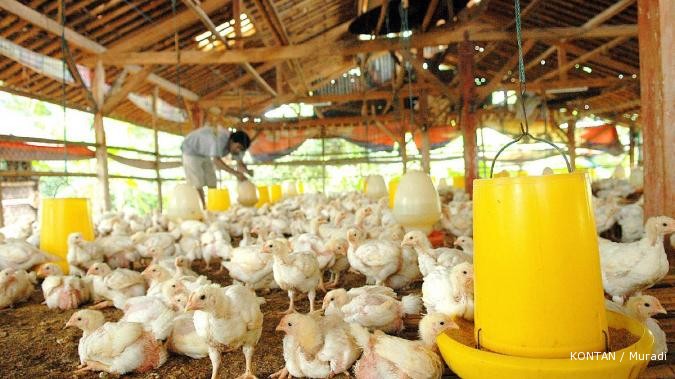 Mengail untung dari kenaikan DOC