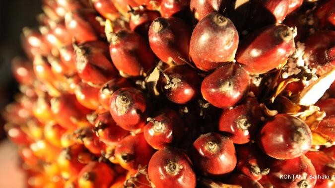 Wilmar produksi campuran bahan bakar jet