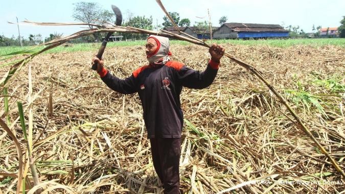 Indonesia incar investor agribisnis dari Brazil