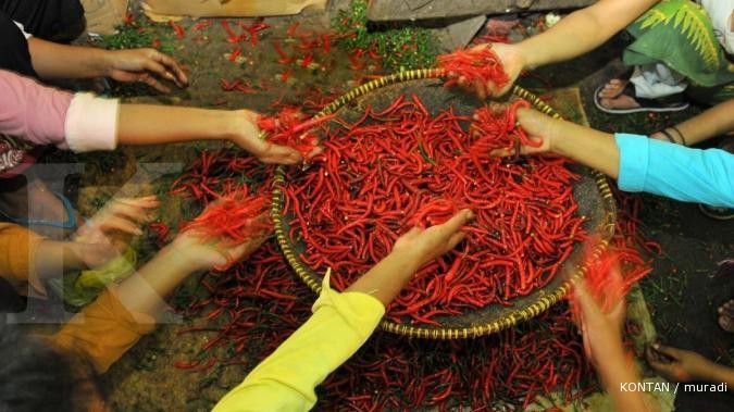Petani cabai Jawa Barat mulai kelimpungan