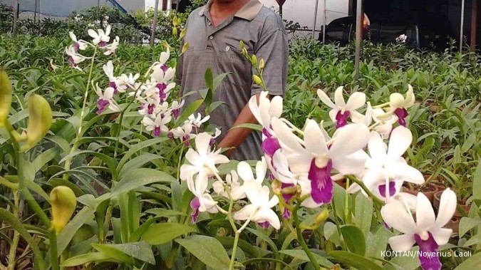 Sentra Anggrek: Banyak petani jual lahan (3)