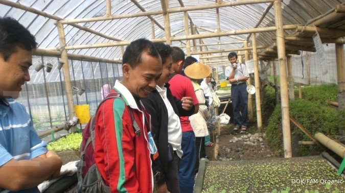 Sepetak kebun mini memberikan hasil maksi Sepetak kebun mini memberikan hasil maksi