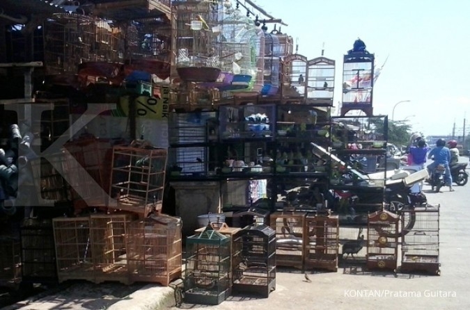 Berburu Burung Kicau Di Jalan Kayu Manis 1