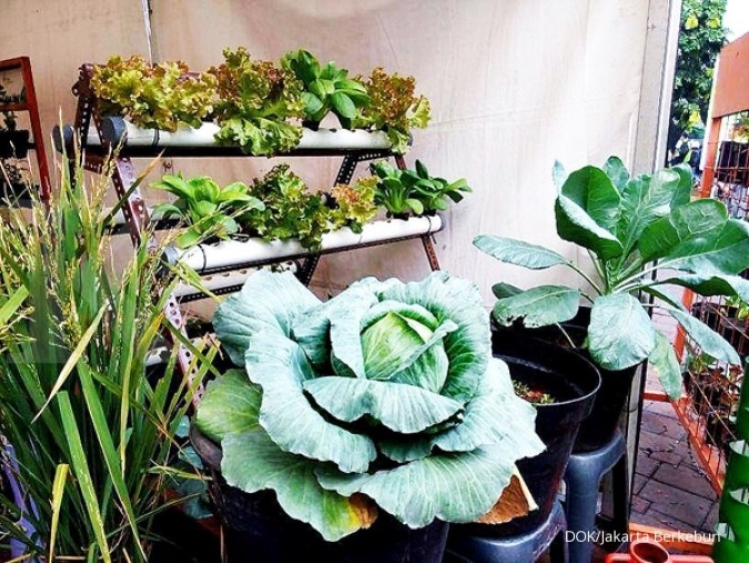 BI Bali dukung aktivitas urban farming BI Bali dukung aktivitas urban farming
