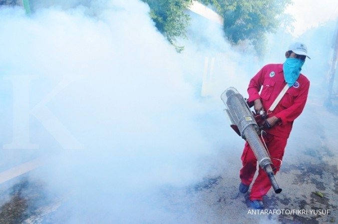 Awas, nyamuk Aedes bisa kebal fogging Awas, nyamuk Aedes bisa kebal fogging