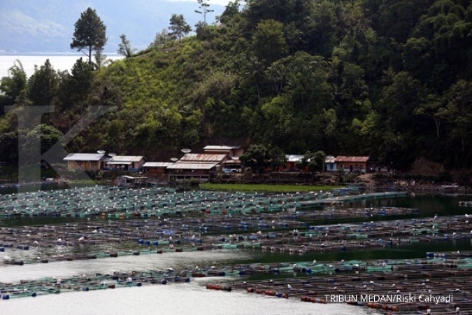 Permukaan air Danau Toba menyusut Permukaan air Danau Toba menyusut