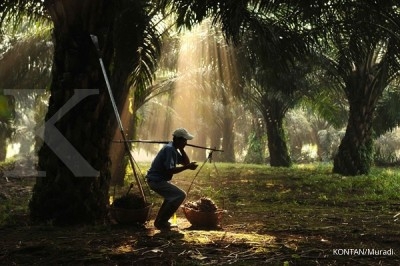Harga CPO masih terus menguat Harga CPO masih terus menguat