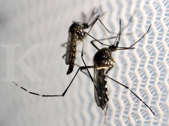 Kasus pertama Zika pada wanita hamil Malaysia Kasus pertama Zika pada wanita hamil Malaysia