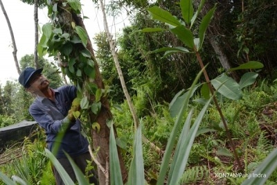 Buka dan kelola lahan dilarang dengan membakar Buka dan kelola lahan dilarang dengan membakar
