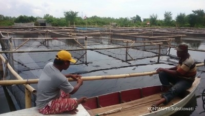 Susi beri bantuan bagi kelompok budidaya ikan Susi beri bantuan bagi kelompok budidaya ikan