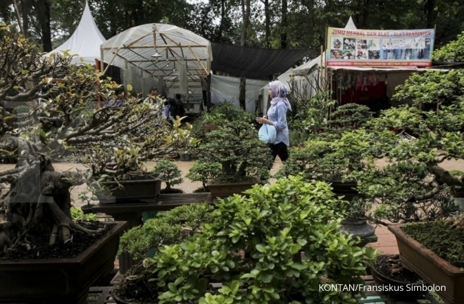 Saatnya berburu bonsai di Flona 2017 Saatnya berburu bonsai di Flona 2017