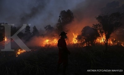 Negara diminta tanggung kebakaran hutan konservasi Negara diminta tanggung kebakaran hutan konservasi