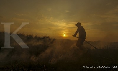 10 hektare hutan di Bandung dilalap api 10 hektare hutan di Bandung dilalap api