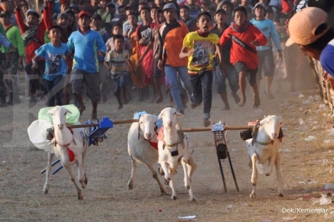 Pagelaran Semipro kenalkan wisata Probolinggo Pagelaran Semipro kenalkan wisata Probolinggo