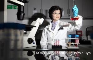 analisis pengembalian investasi modal ptkalbe farma essay analisis pengembalian investasi modal ptkalbe farma essay