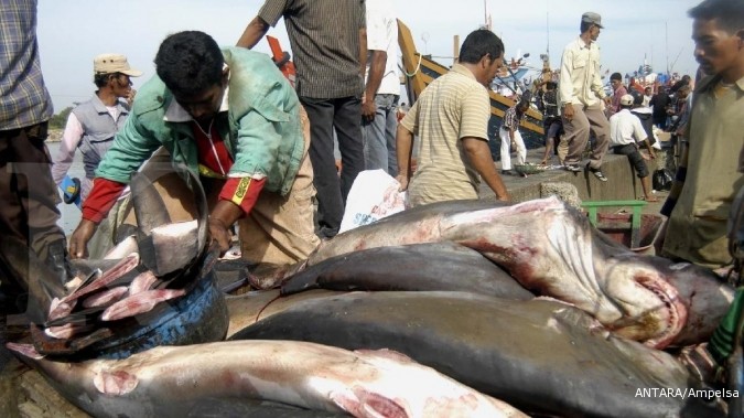 Luncurkan Situs Kampanye Save Our Sharks, WWF-indonesia Ajak Masyarakat dan Pelaku Usaha Berhenti Konsumsi Hiu