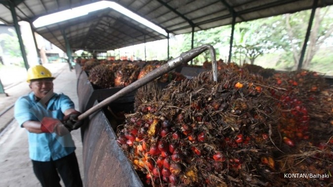 Holding Perkebunan Nusantara Siapkan Skenario The New Normal