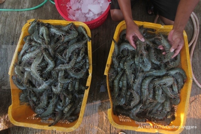 Forum Udang Indonesia optimistis nilai ekspor udang bisa meningkat 250% di 2024