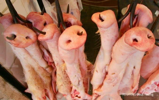 ILUSTRASI. Ilustrasi daging babi. 
