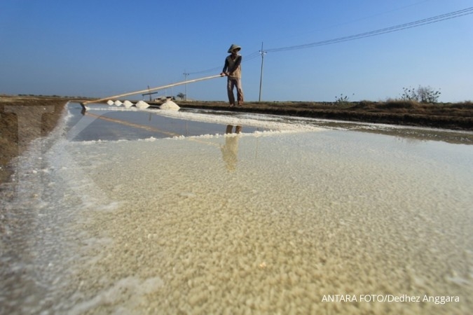 Garam impor distribusi rawan disalahgunakan