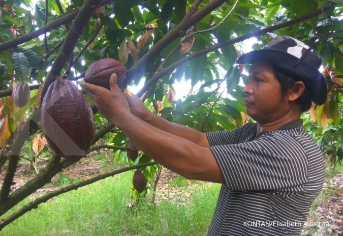 Halaman anda tidak ditemukan - Kontan.co.id