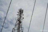 Ungkit Kinerja, Operator Seluler Gencar Ekspansi Jaringan