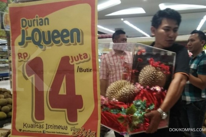 Daniel and forex queen