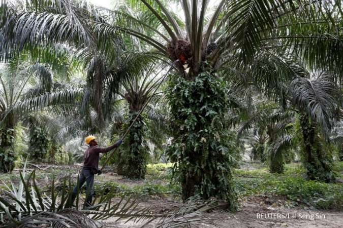 Perjuangkan Kelapa Sawit Indonesia, Kemendag Gelar Rapat PersiapanKonsultasi Gugatan Indonesia terhadap Uni Eropa