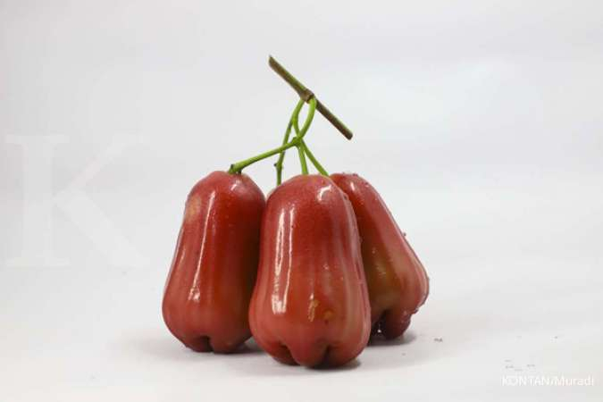 4 Manfaat Jambu Air, Bisa Cegah Kanker Dan Dehidrasi