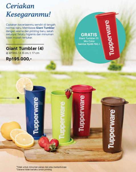 giant tumbler tupperware 2020