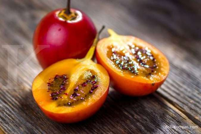 Ini Manfaat Terong Belanda Untuk Kesehatan Tubuh Anda