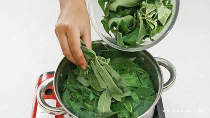 Sederet Manfaat Daun Singkong Untuk Kesehatan Yang Jarang Diketahui