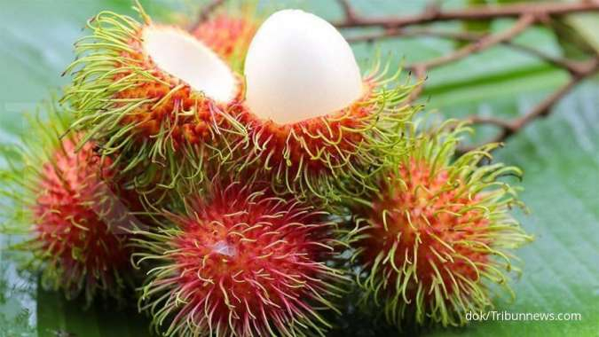 Menderita Kencing Manis Biji Rambutan Efektif Mengobati Diabetes Melitus