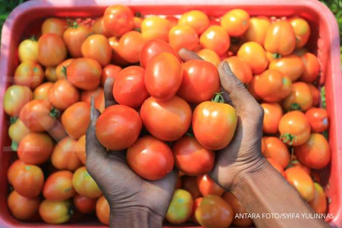 Yuk Coba 4 Cara Menghilangkan Flek Hitam Di Wajah Ini